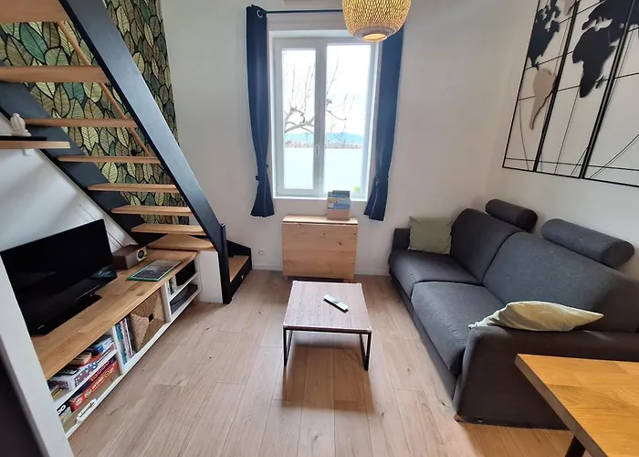Logement Independant "Le Figuier" Trevoux Climatisee